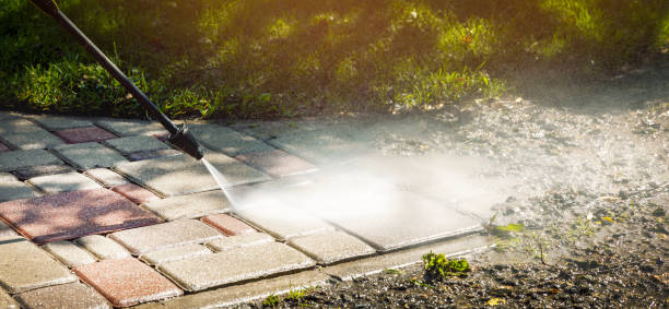 Best Dumpster Area Cleaning  in Leland Grove, IL